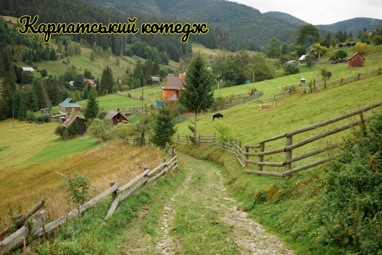 Карпатський котедж Karpatian cottage Ворохта Екстериор снимка